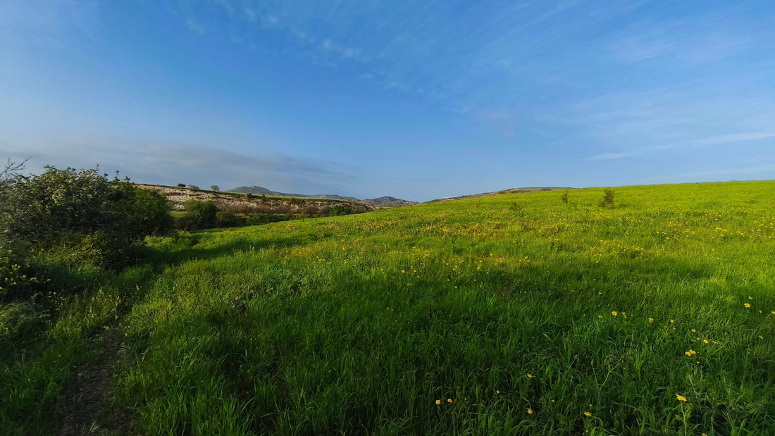 Anarita Eco Village